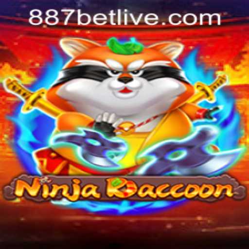 Exploring NinjaRaccoon: A New Adventure Awaits